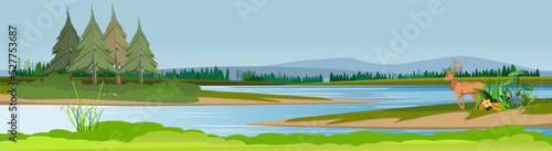 Banner horizontal image Blue river runs on steppe green hills and plants vector countryside nature