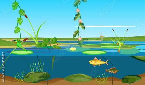 Fototapeta Naklejka Na Ścianę i Meble -  River tropical ecosystem and Underwater  landscape bird with dragonfly jungle vector 