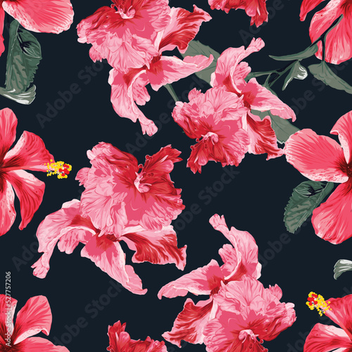 Hibiscus flowers 3