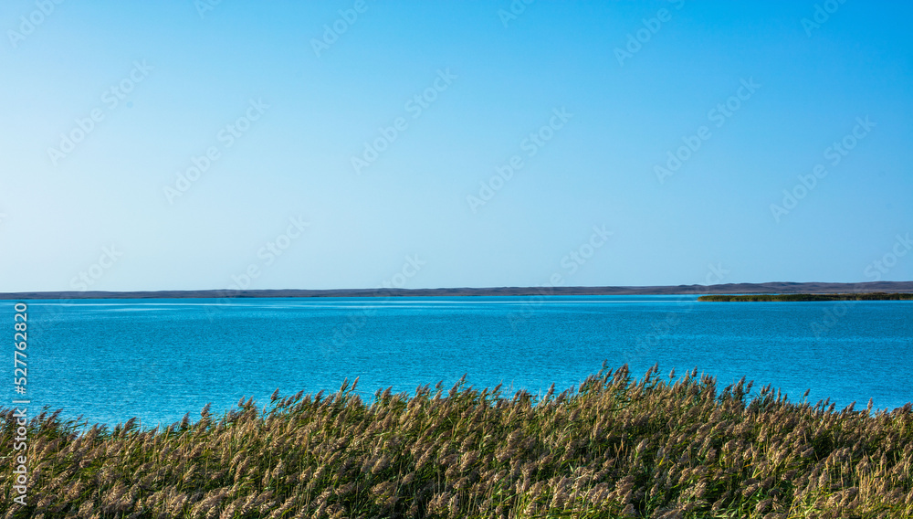 Fototapeta premium grass and blue sea