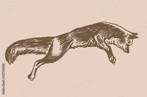 Vector vintage  drawing of fox jumping ,graphics