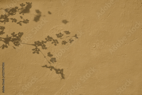 Delicate cherry flowers shadows on beige concrete wall texture. Abstract trendy colored nature concept background. Copy space for text overlay, poster mockup flat lay 