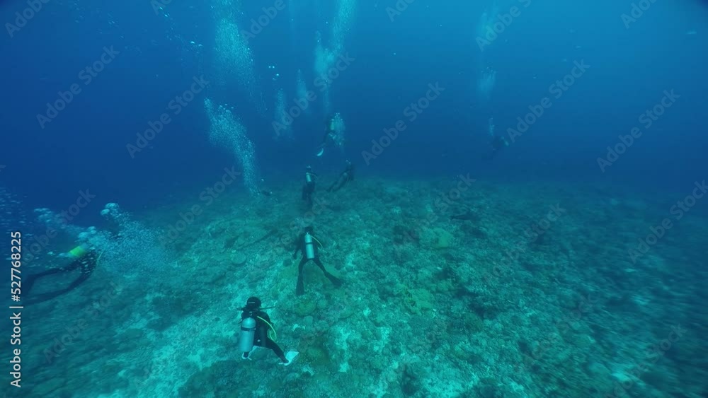 Scuba diving at Blue corner in Palau. Diving on the reefs of the Palau archipelago. Scuba diving at Blue corner in Palau. Diving on the reefs of the Palau archipelago.