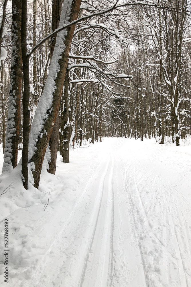 Ski track on snowy road in the winter forest