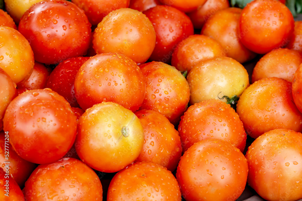Group of tomatoes with water droplets on the surface Group of tomatoes with water droplets on the surface