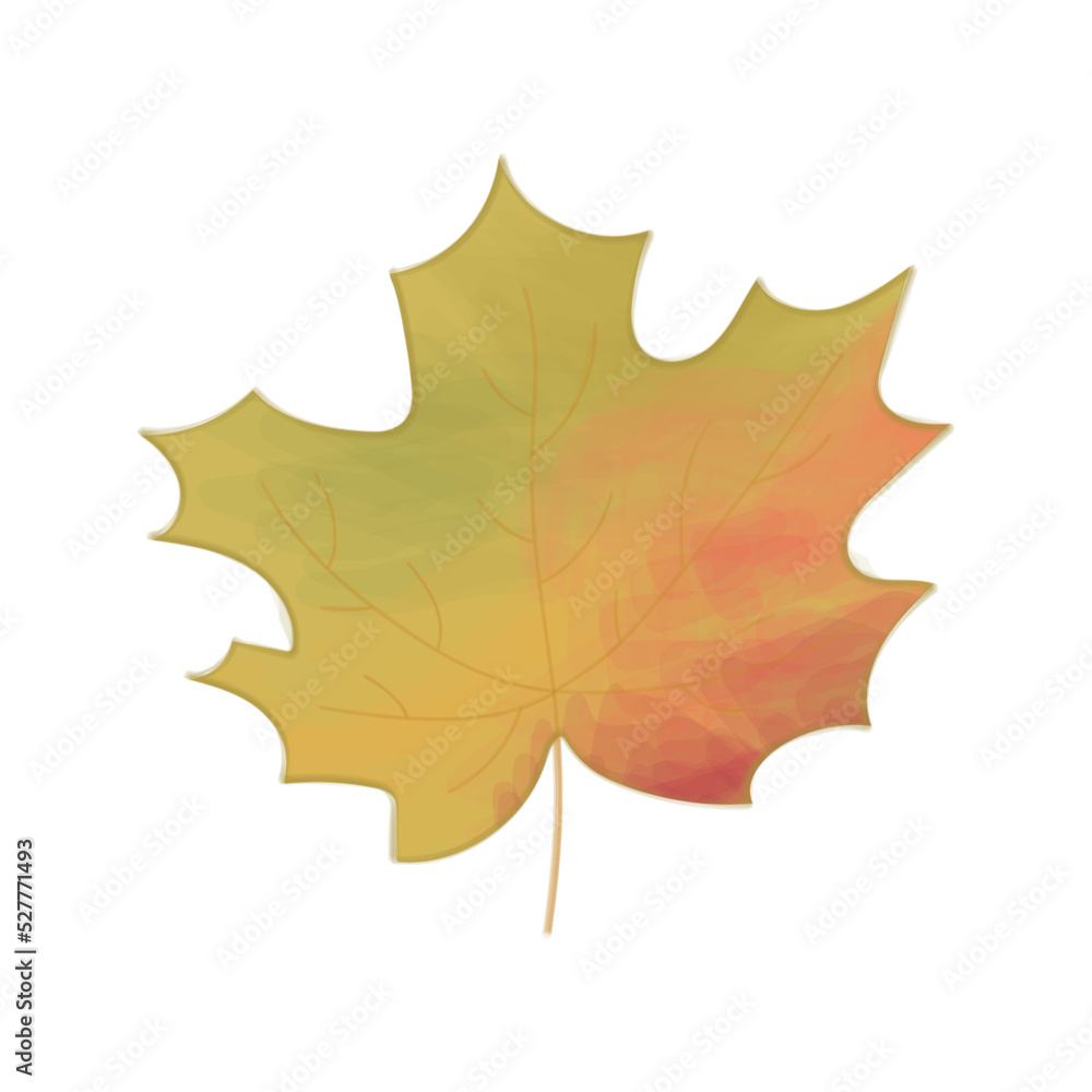 Maple leaf with watercolor effect, autumn leaves, leaf fall, maple isolated on white background. Vector illustration Maple leaf with watercolor effect, autumn leaves, leaf fall, maple isolated on white background. Vector illustration