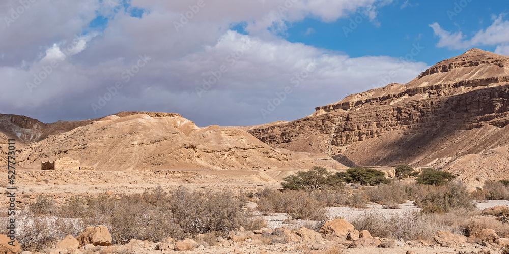 Nabatean Nekarot Fort is camouflaged above the wadi nahal Nekarot stream bed on the famous Spice Route in Israel near a grove of Acacia trees