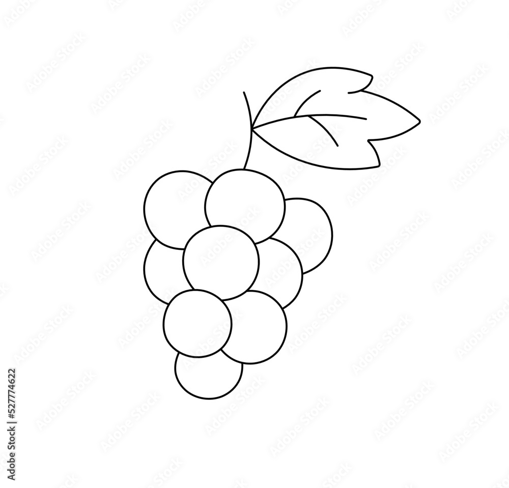 Grapes Sketch, B&W Lines Illustration Graphic by Design Sparkled · Creative  Fabrica