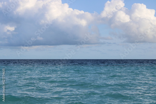 Oceano delfini Maldive