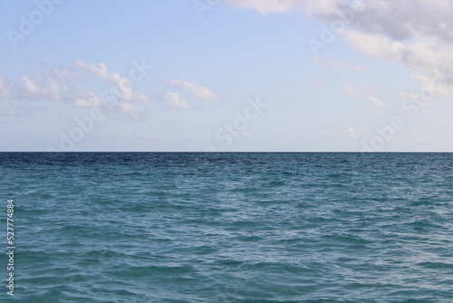 Oceano delfini Maldive