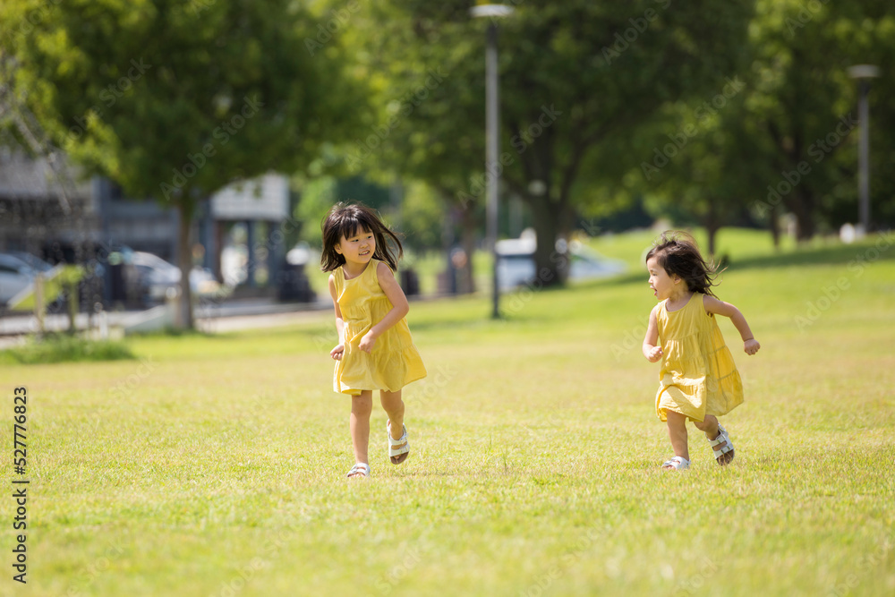 夏の芝生の公園で元気に遊ぶ姉妹 夏の芝生の公園で元気に遊ぶ姉妹