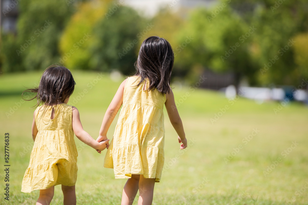 夏の芝生の公園を手を繋いであるく小さな女の子 夏の芝生の公園を手を繋いであるく小さな女の子