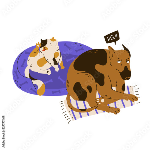 The cat took a dog bed and washes. The dog cowardly sits on the rug. Social relationships, abuse, humiliation and disrespect for a partner. Flat style in vector illustration. Isolated objects.