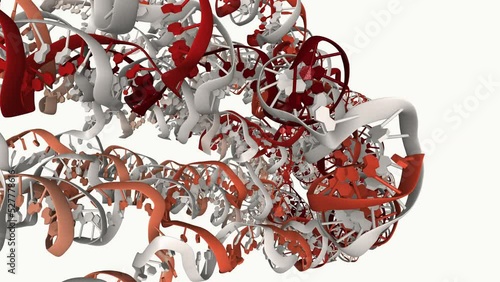 Long DNA origami nanostructure in 3D. DNA origami is the nanoscale folding of DNA to create arbitrary two- and three-dimensional shapes at the nanoscale. photo