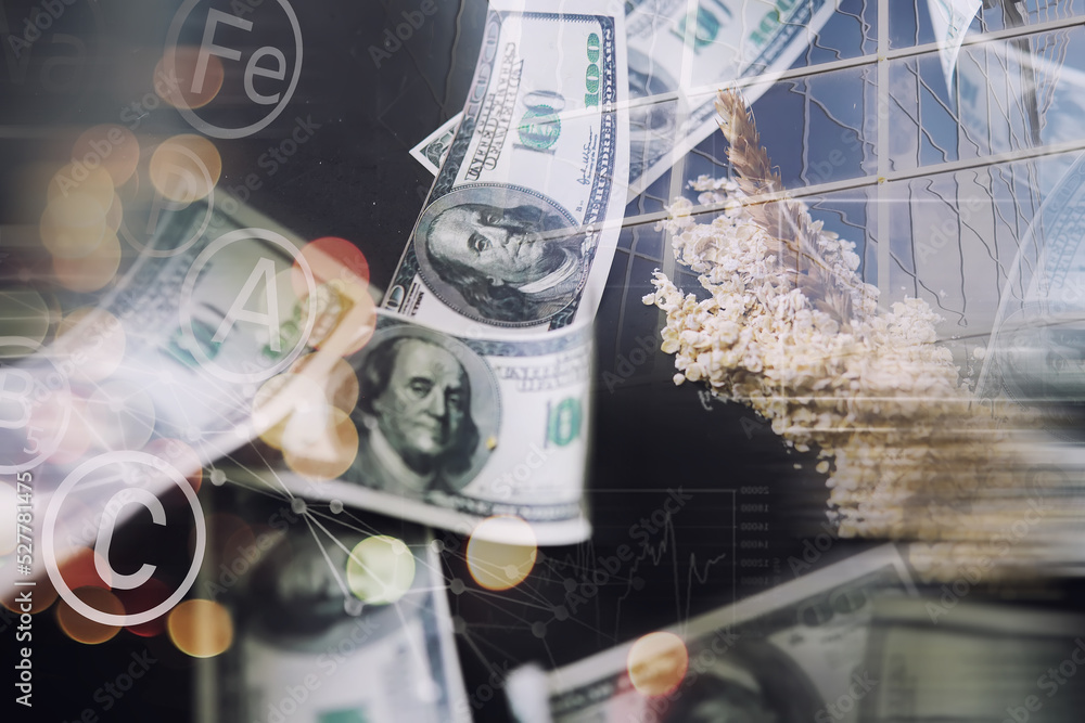 World grain crisis. Double exposure. A handful of cereals and 100 dollar banknotes on a blue background. World grain crisis. Double exposure. A handful of cereals and 100 dollar banknotes on a blue background.