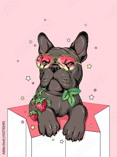 Black French Bulldog with a sprig of strawberries. Summer illustration. Stylish image for printing on any surface