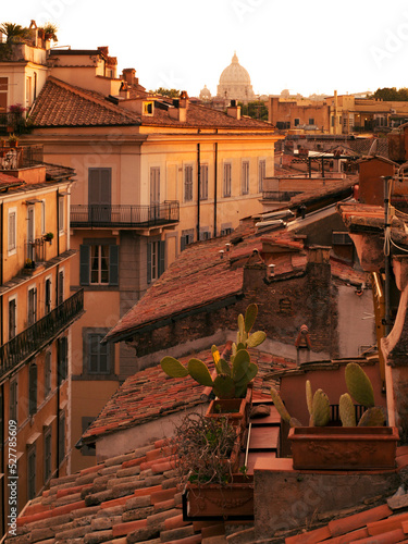 Rome Rooftops