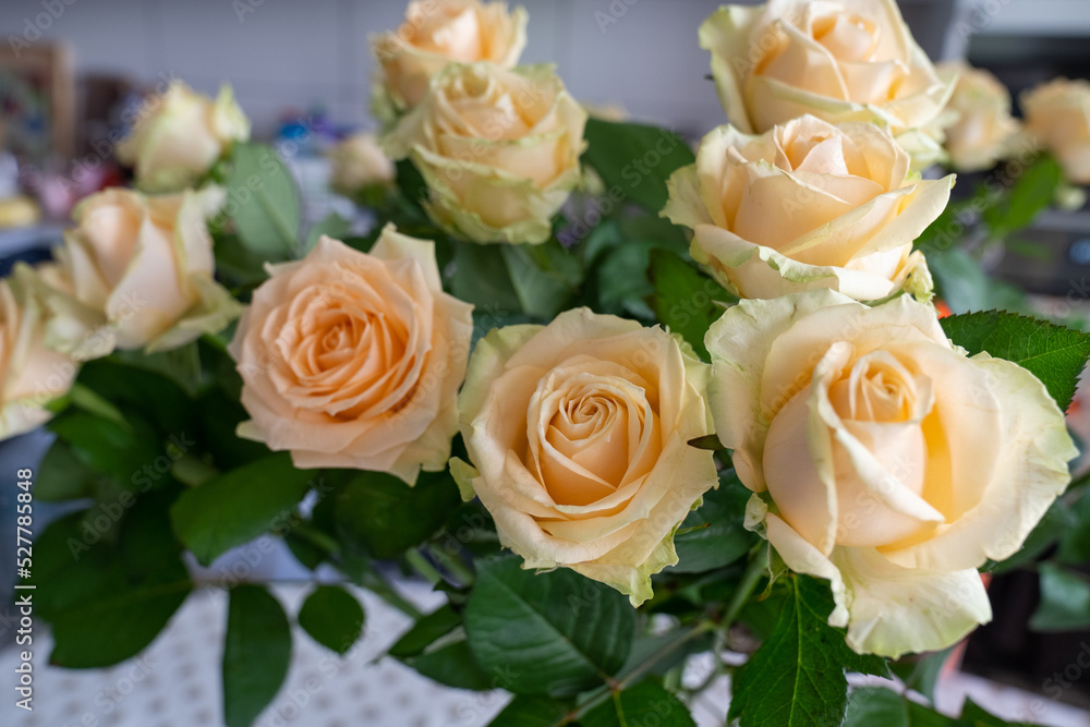 beautiful peach roses in the home interior