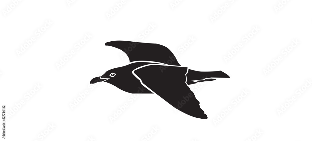 Obraz premium seagull logo icon designs vector