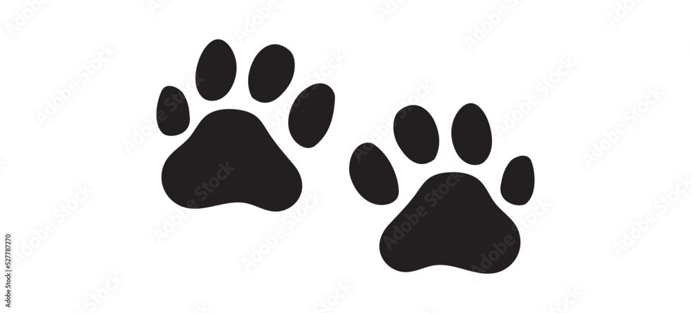tiger footprint2 tiger footprint2