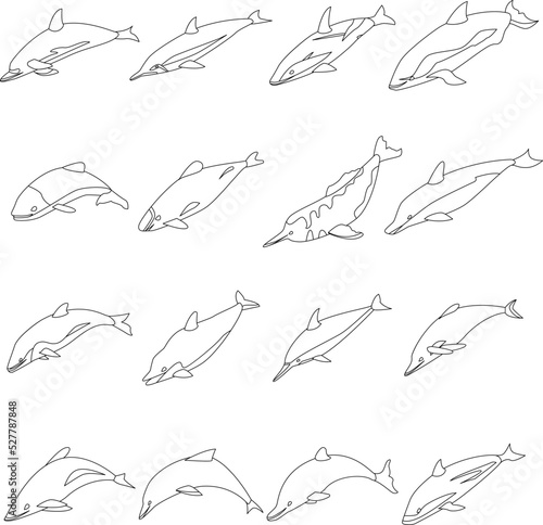 Dolphin icons set. Isometric set of dolphin vector icons outline thin lne isolated on white