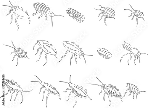 Cockroach icons set. Isometric set of cockroach vector icons outline thin lne isolated on white