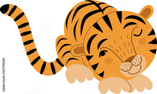 Funny tiger cub in a cartoon style.