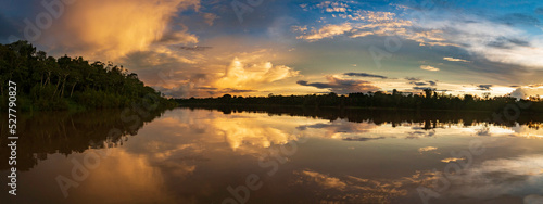 Amazonia -  wall of green tropical forest of the Amazon jungle, green hell of the Amazonia. Selva on the border of Brazil and  Peru. Yavari river in Javari Valley, (Valle del Yavarí) South America. photo