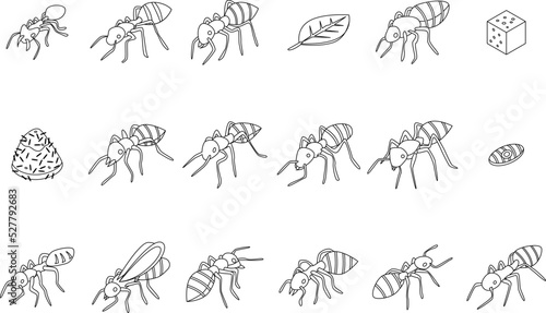 Ant icons set. Isometric set of ant vector icons outline thin lne isolated on white