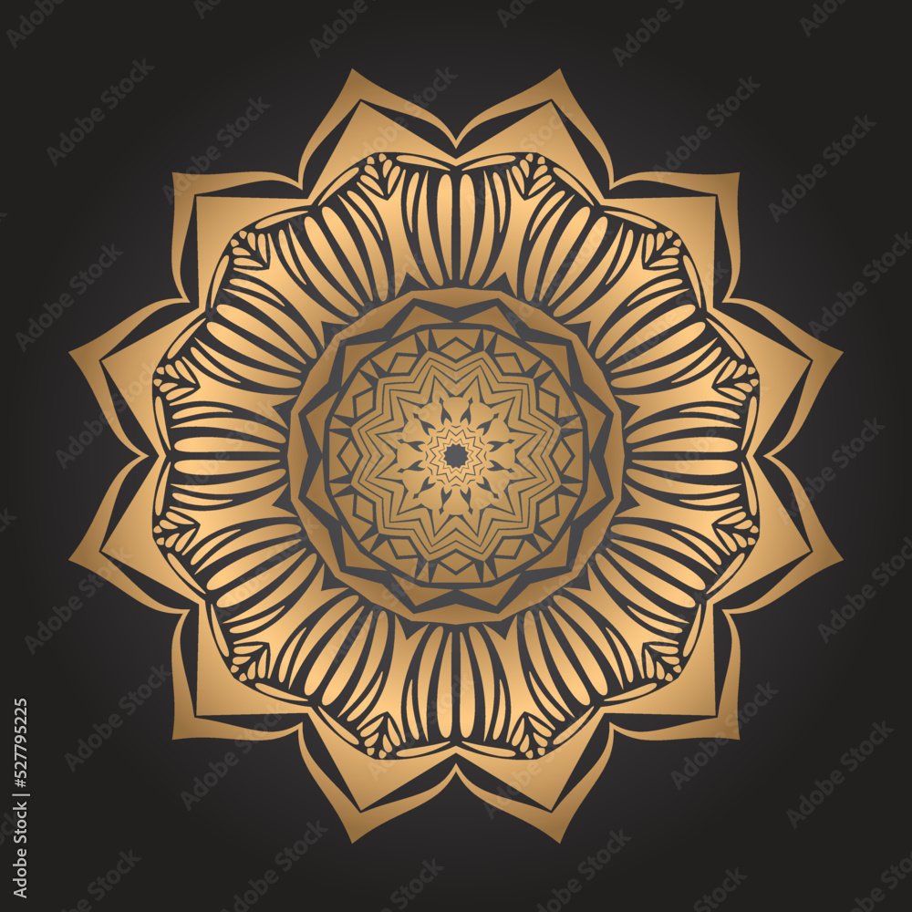 Luxury mandala art background design 