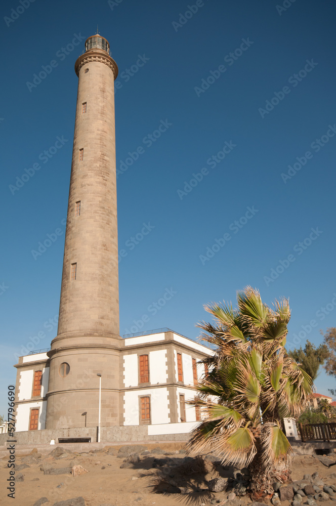 Maspalomas Lighthouse next to two desert fan palms Washingtonia filifera. Maspalomas. San Bartolome de Tirajana. Gran Canaria. Canary Islands. Spain.