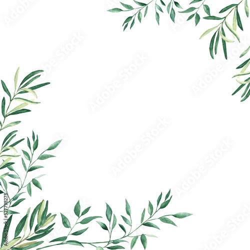 Fototapeta Naklejka Na Ścianę i Meble -  Rustic foliage watercolor square frame. Olive and pistachio branches. Hand drawn botanical illustration isolated on white background. Ideal for stationery, invitations, save the date, wedding