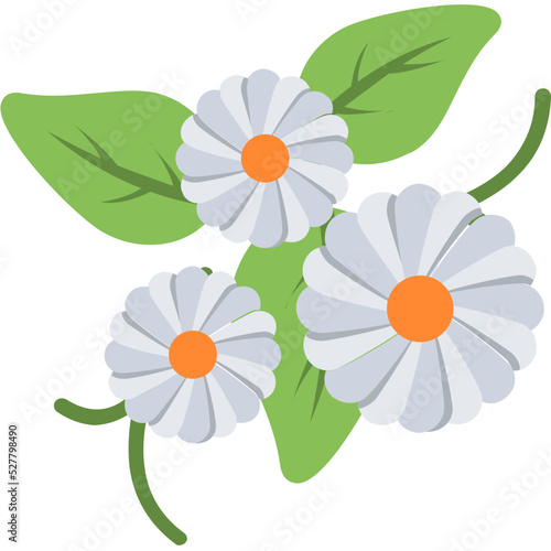 Daisy Vector Icon