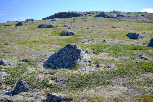 Rocky Mountain tundra, Kola Peninsula, Russia