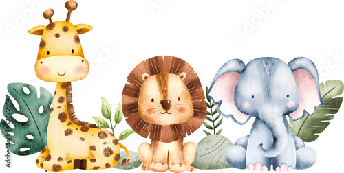 Photography Watercolor Illustration Safari Animals