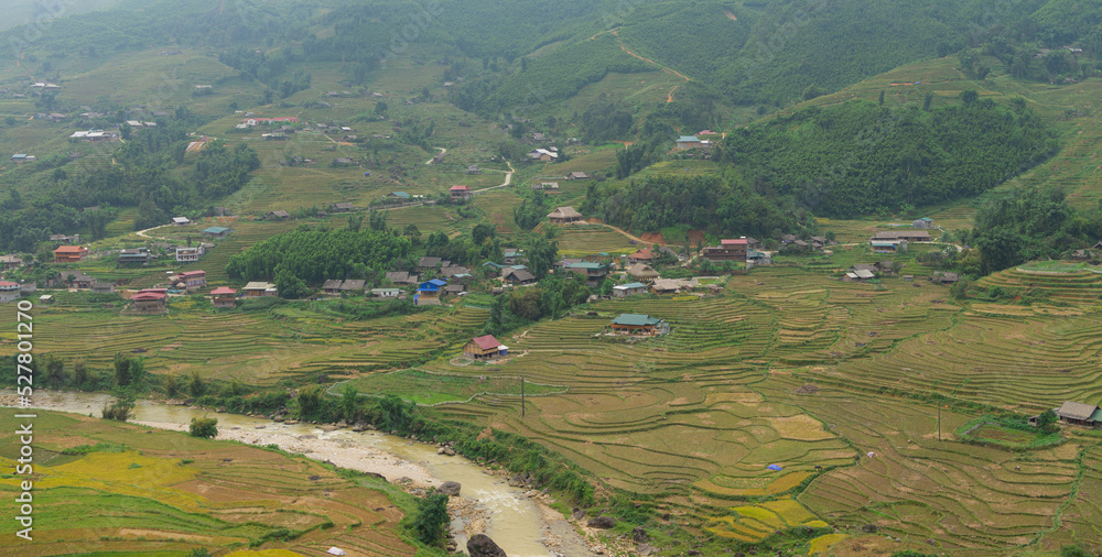 Natural Mountain rice filed, Vietnam 2017.