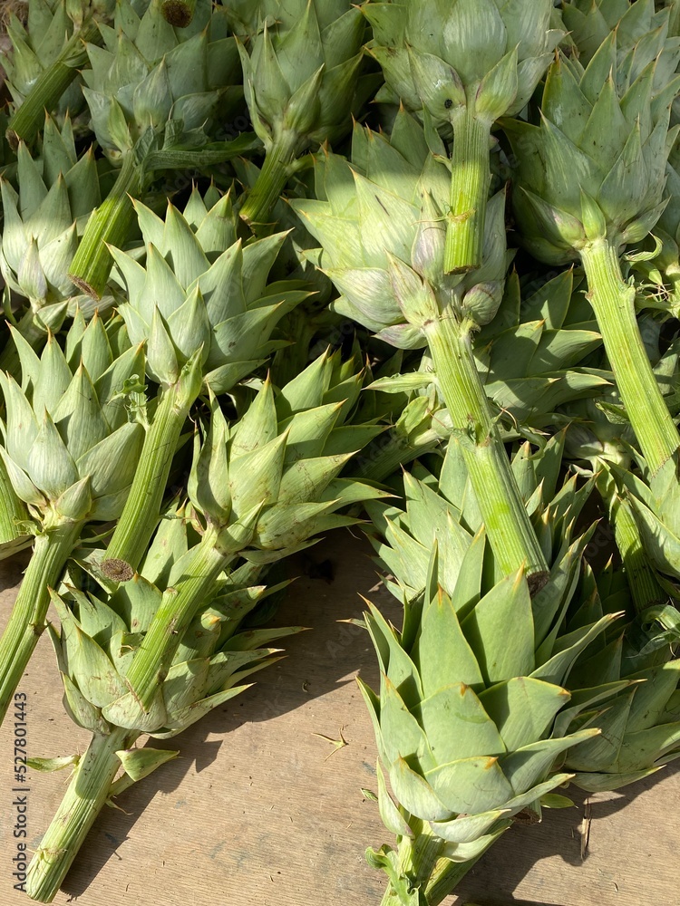 Fototapeta premium Artichokes