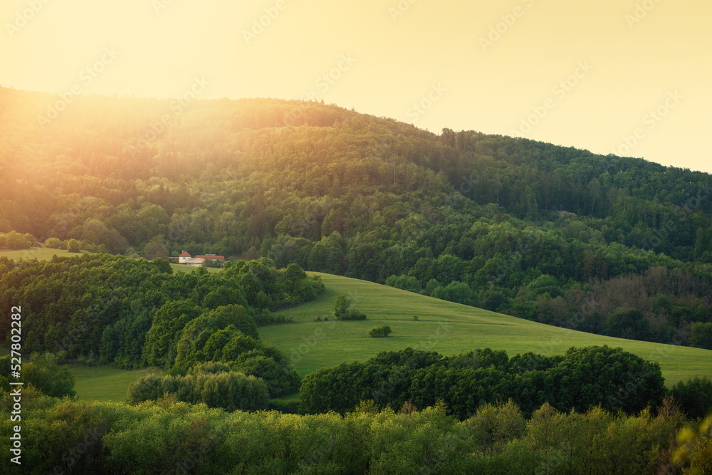 Green forested hill lit by evening sun.Spring landscape.