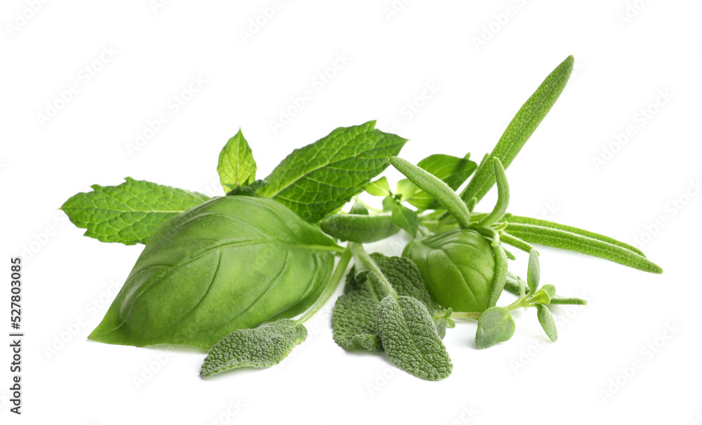 Various fresh aromatic herbs on white background Various fresh aromatic herbs on white background