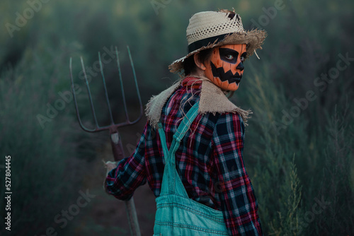 Tableau sur toile Scarecrow with straw hat and checked shirt, Halloween make-up, back down and hol