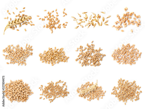 Set with heaps of wheat grains on white background, top view