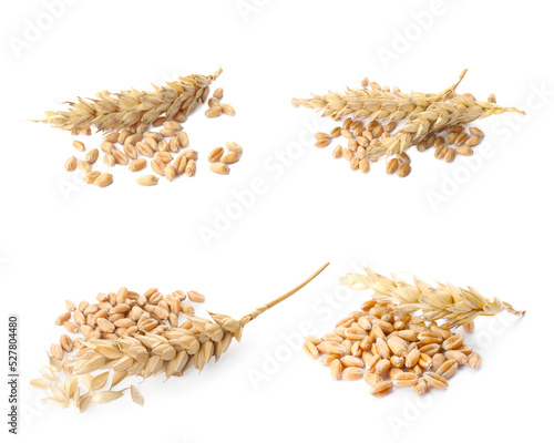 Set with heaps of wheat grains on white background