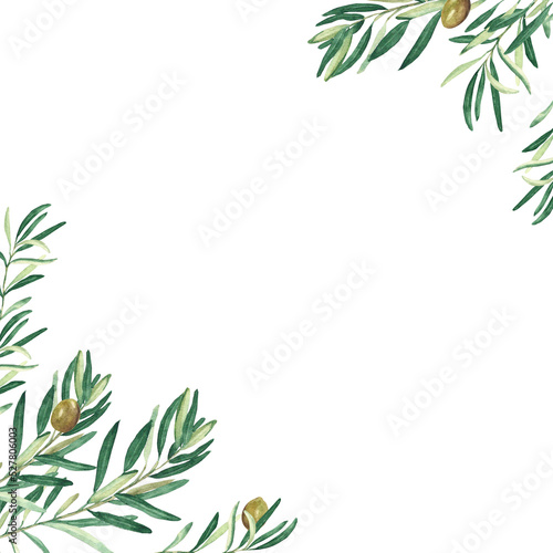 Olive tree corners. Green olives. Vegan food illustration. Hand drawn watercolor botanical illustration isolated on white background. Can be used for cards, logos and food design.