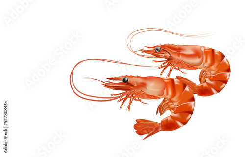 Red boiled shrimp or tiger prawns isolated on white background as a package design element.