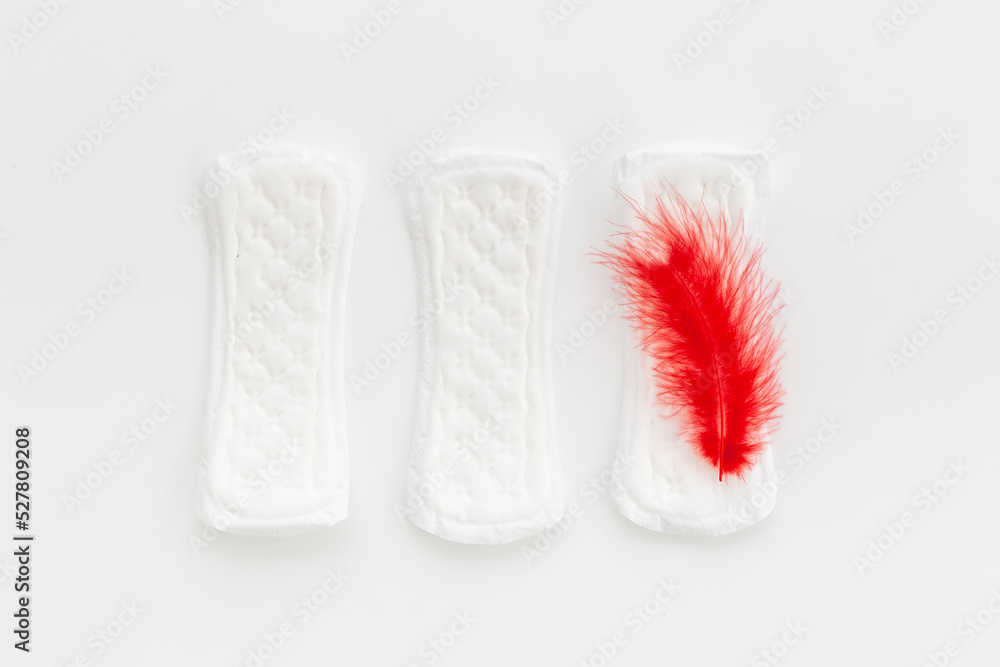 White panty liners with red feather. Menstruation period and daily hygiene White panty liners with red feather. Menstruation period and daily hygiene