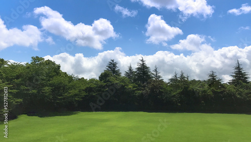 Fototapeta Naklejka Na Ścianę i Meble -  公園の青空に白い雲