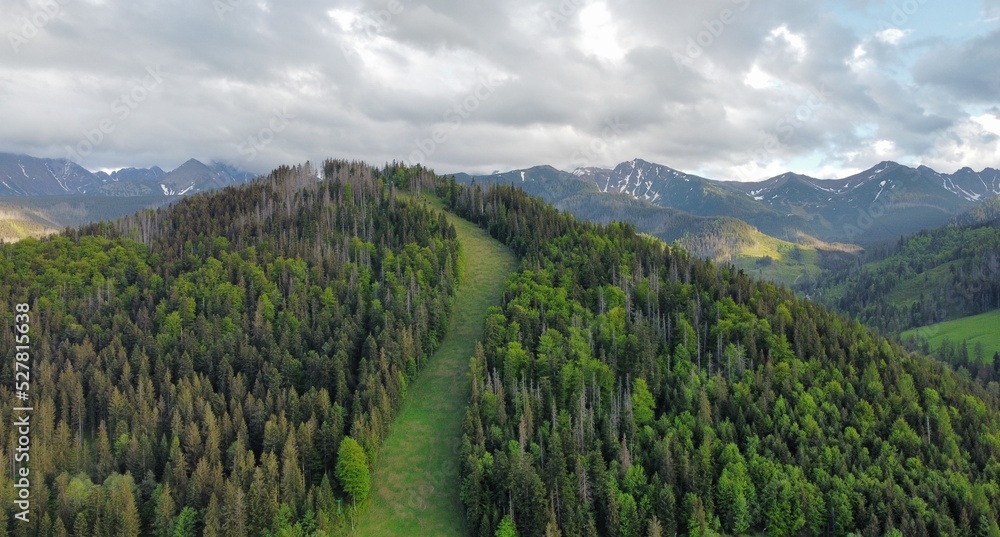 Widok na Góry Tatry - Zakopane, Polska.