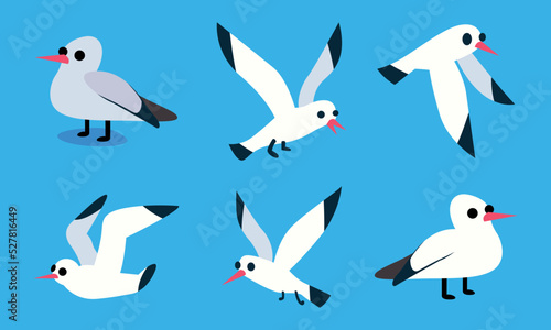 Cartoon Atlantic seabird, seagull flying in blue sky. birds set in flat vector style