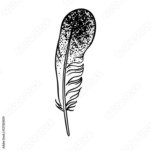 Black and white feather. Ornamental Boho Style Element. Vector illustration. ...