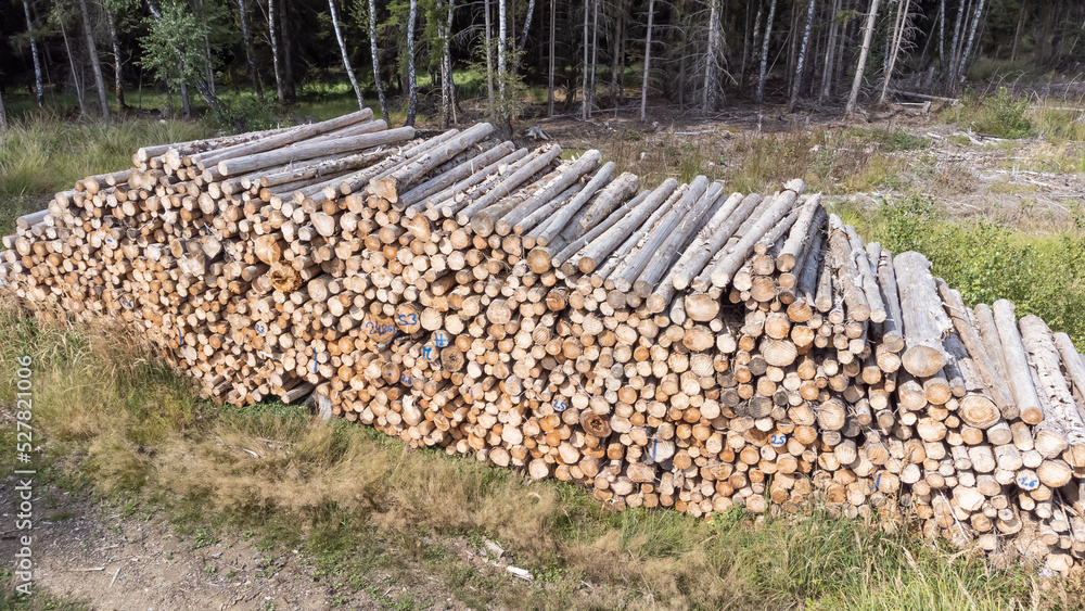 top view tree stack